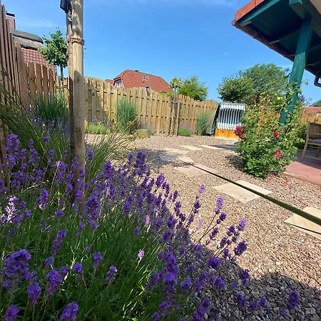 Duene 68 Vakantiehuis *