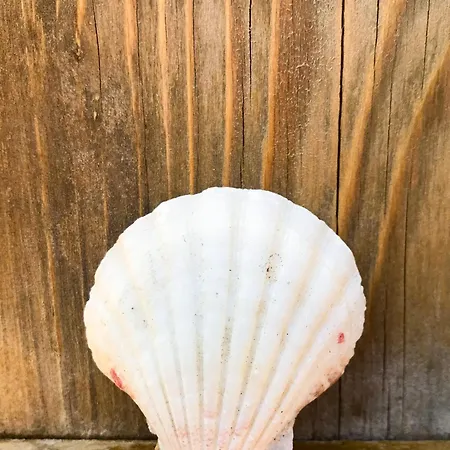 Vakantiehuis Duene 68