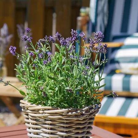 Vakantiehuis Duene 68